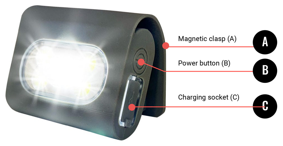 QuintX labeled diagram